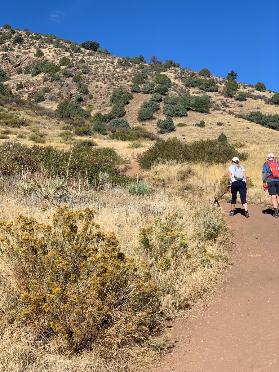 Mount Falcon The almost Presidential retreat The Sansei Traveler